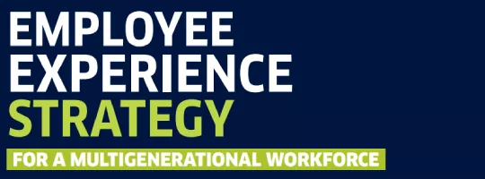 Pluxee(Sodexo) Employee Experience Strategy 