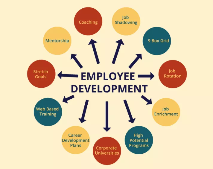 employee development 