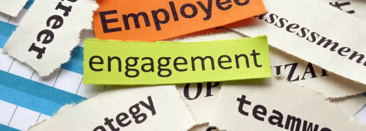 Employee engagement 