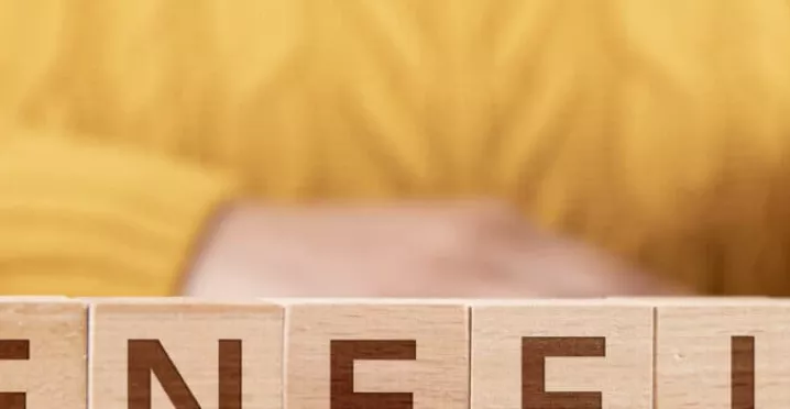 benefits Pluxee (sodexo)