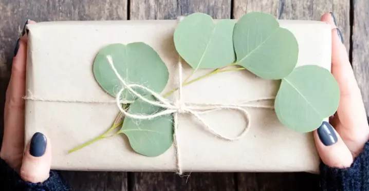 Top 10 eco-friendly corporate gifts