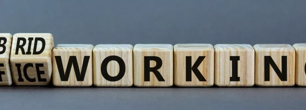 Hybrid  working Pluxee (sodexo)