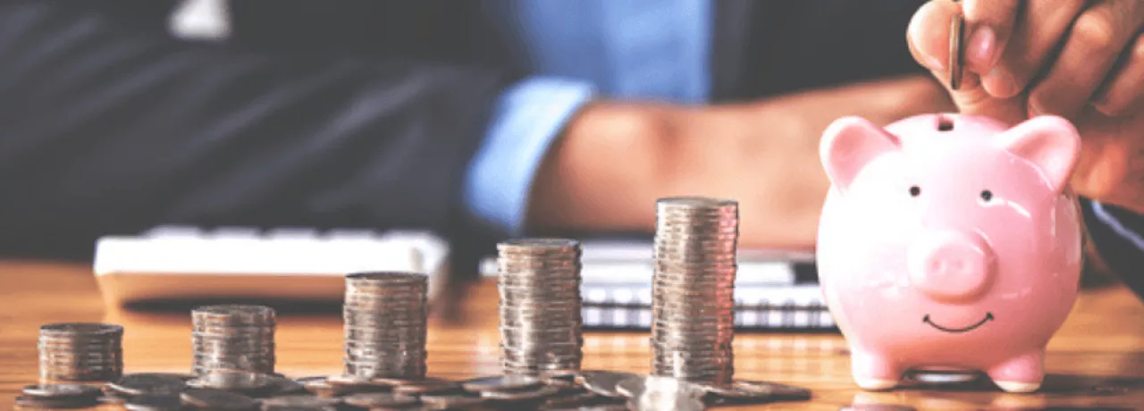 save money Pluxee (Sodexo)