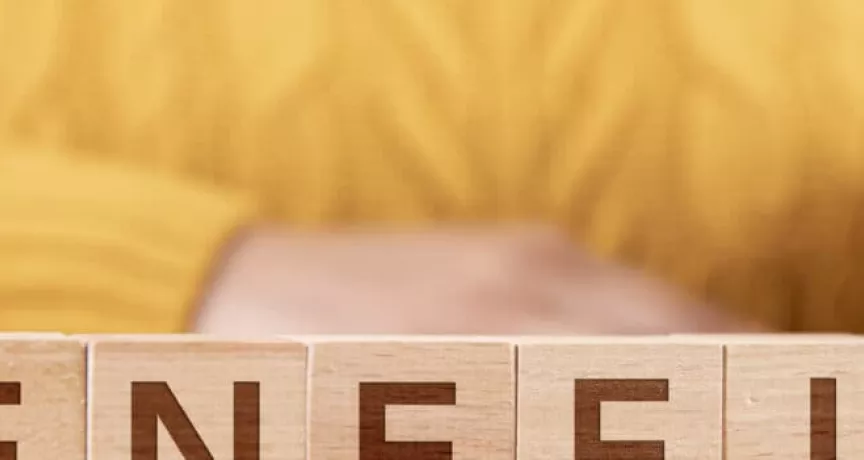 benefits Pluxee (sodexo)