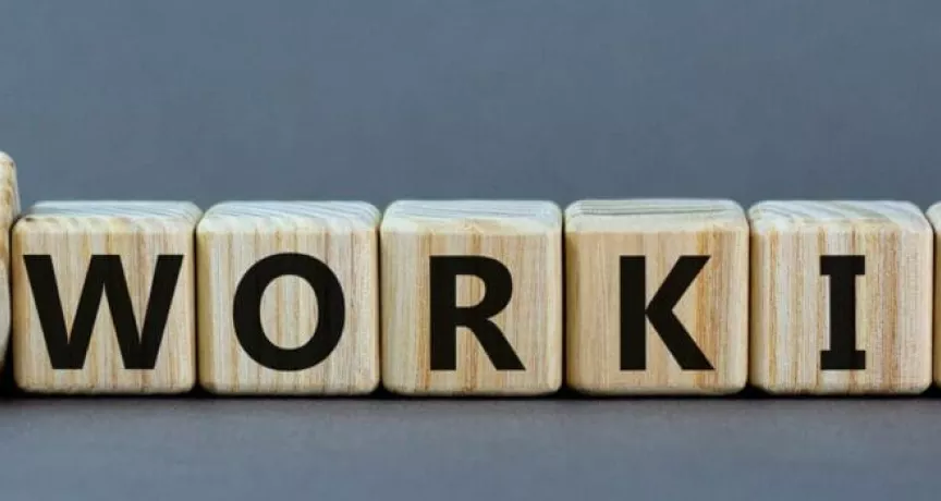 Hybrid  working Pluxee (sodexo)