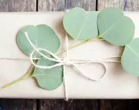 Top 10 eco-friendly corporate gifts