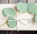 Top 10 eco-friendly corporate gifts