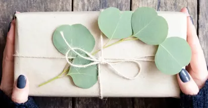 Top 10 eco-friendly corporate gifts