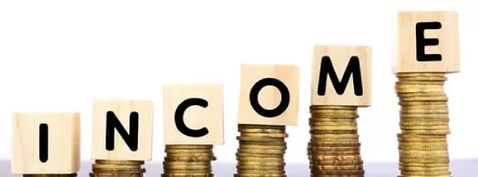 Income Pluxee(Benefits)