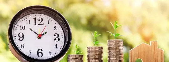 Tax saving Pluxee (sodexo)