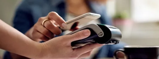 Paytm Pluxee(Sodexo)