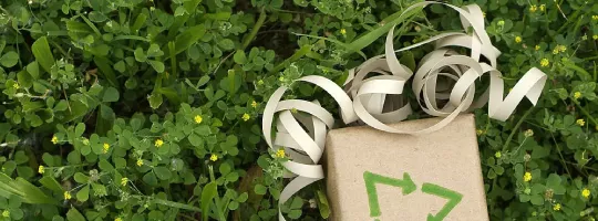 Why sustainable choices matter more than ever